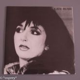 Kate Bush Hounds of Love Interview  Vinyl