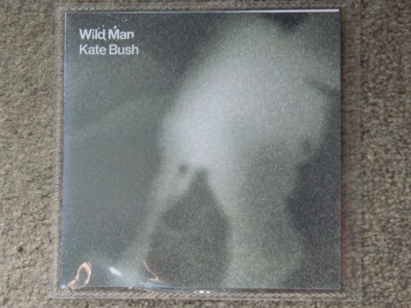 Kate Bush Wild Man Fish People CD