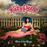KATY PERRY - ONE OF THE BOYS - 2 VINYL LP 6 TRACKS