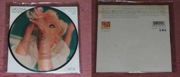 MADONNA - TAKE A BOW PICTURE DISK - 1994 USA