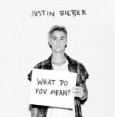Justin Bieber ‎What Do You Mean? CD