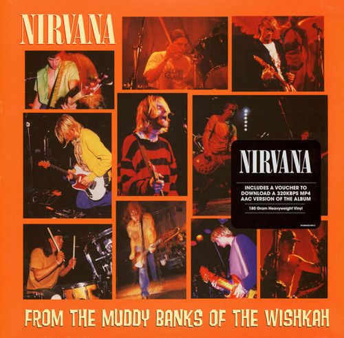 NIRVANA FROM THE MUDDY BANKS OF THE WISHKAH Vinyl LP