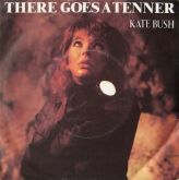 Kate Bush There Goes A Tenner LP VINYL