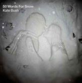 Kate Bush 50 Words for Snow CD