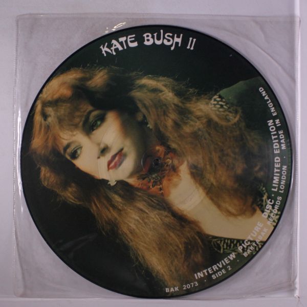 KATE BUSH Interview Picture Disc 2 LP