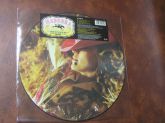 Madonna Music 12" Single Picture Disc