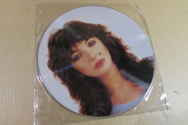 KATE BUSH Live At Hammersmith Odeon PICTURE DISC LP