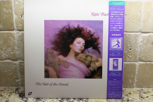Kate Bush Hair Of The Hound Japan  Laser Disc
